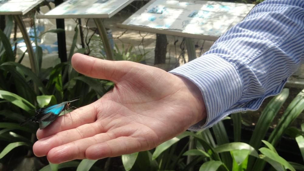 22343569_10212846364487253_2122197729_o