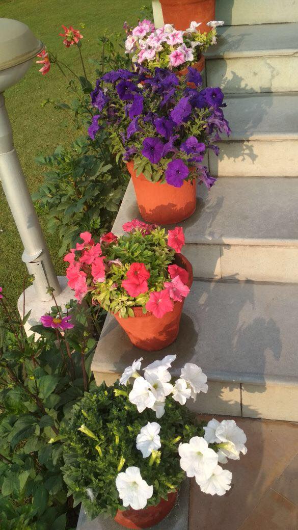 27990572_10213831414072877_1247934830_o