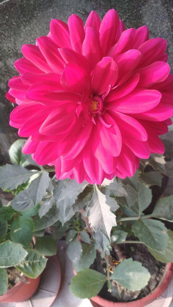 27999932_10213831406472687_1269124880_o