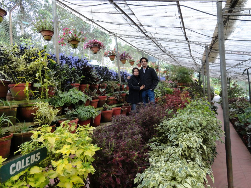 376391_2583106210283_959059181_n