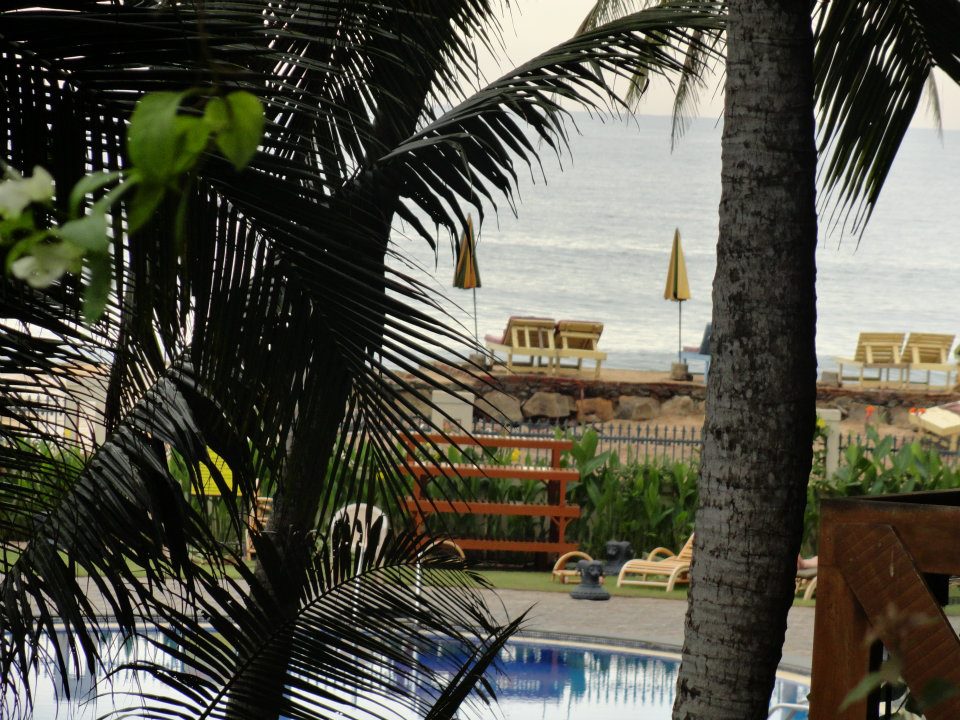 384588_2583637703570_565615597_n