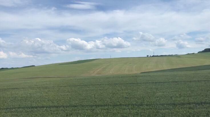 37355557_10215070497489188_8281324707697917952_n