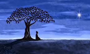 vipassana experience