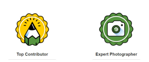 Tripadviosr top contributor