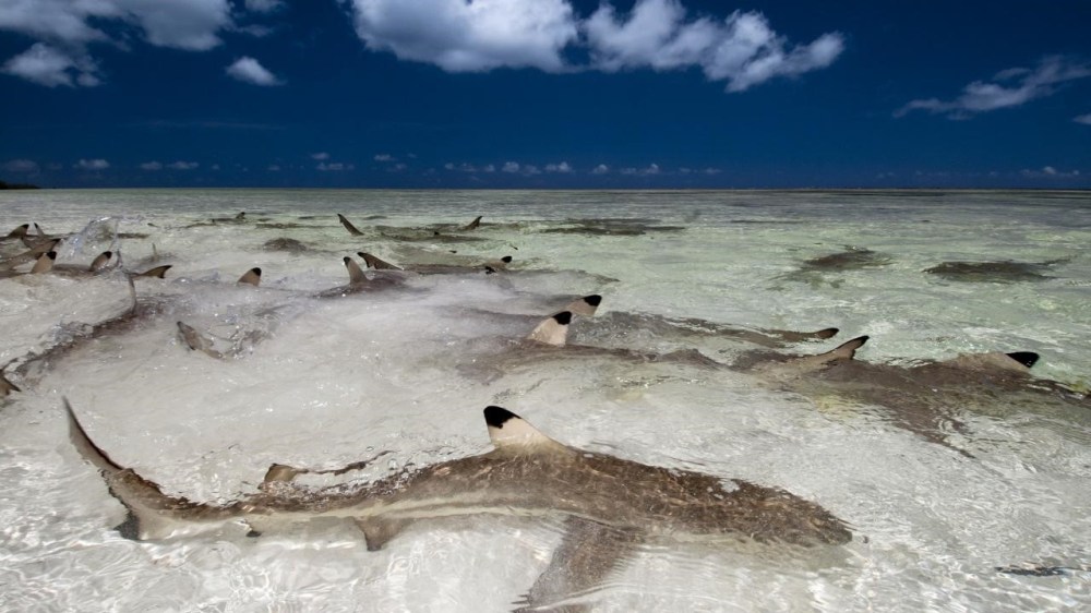 Safest places to travel after Corona pandemic ends 7